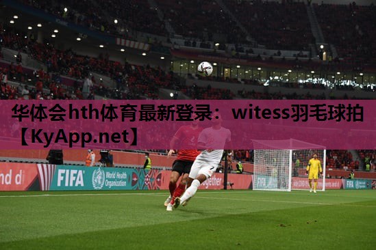 witess羽毛球拍 witess羽毛球拍
