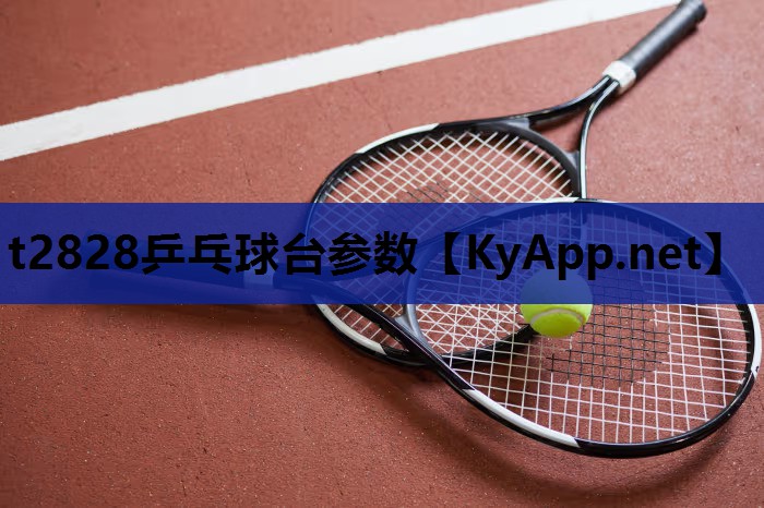 t2828乒乓球台参数 t2828乒乓球台参数