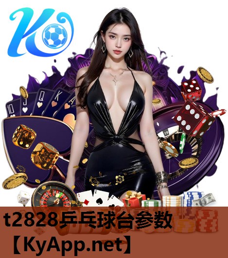 t2828乒乓球台参数 t2828乒乓球台参数