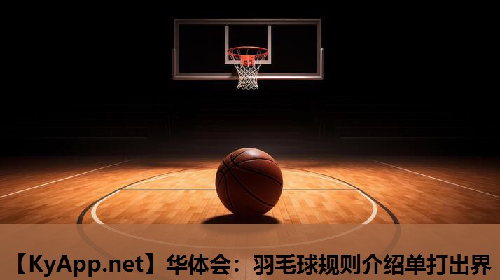 羽毛球规则介绍单打出界 羽毛球规则介绍单打出界