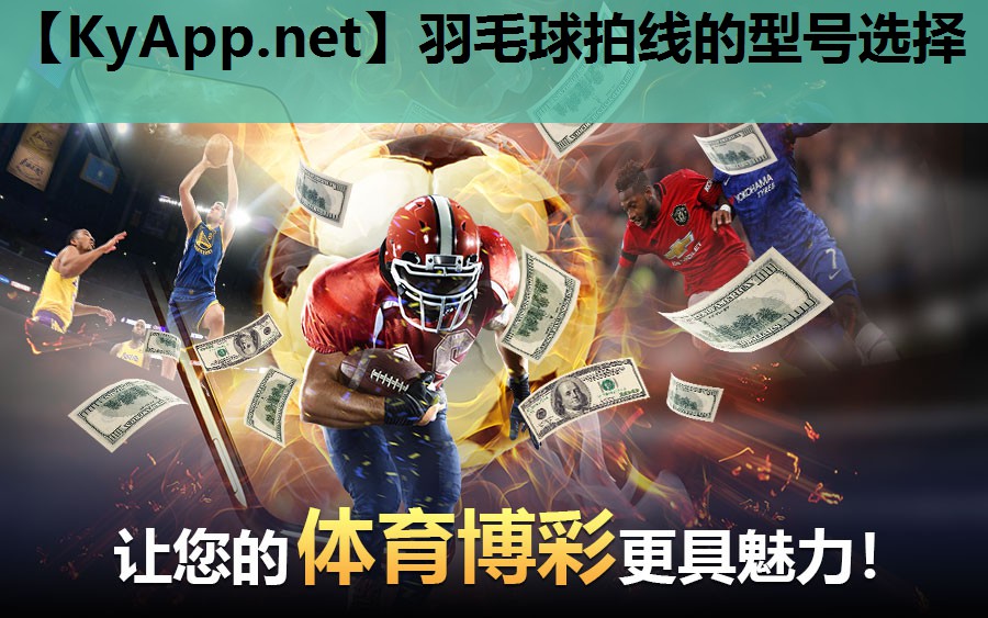 羽毛球拍线的型号选择 羽毛球拍线的型号选择