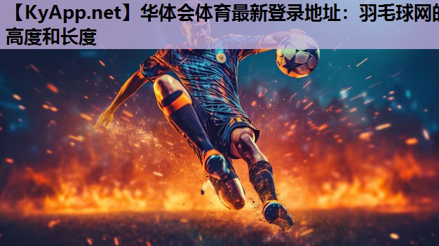 羽毛球网的高度和长度 羽毛球网的高度和长度