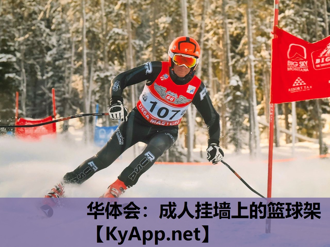 成人挂墙上的篮球架 成人挂墙上的篮球架