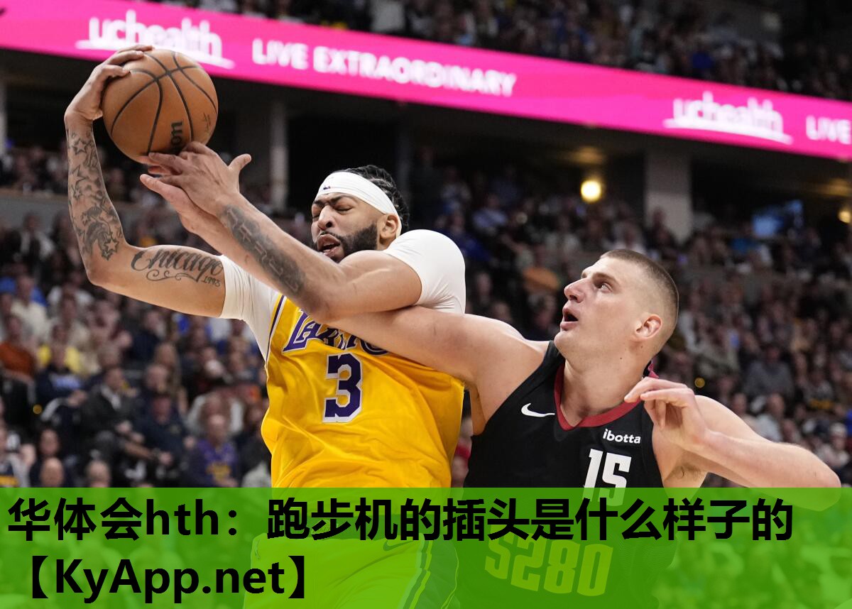 跑步机的插头是什么样子的 跑步机的插头是什么样子的