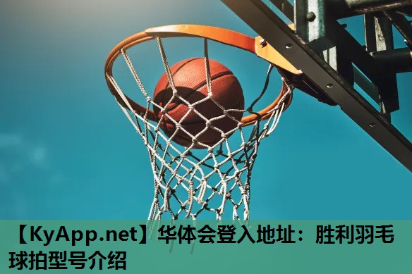 胜利羽毛球拍型号介绍 胜利羽毛球拍型号介绍