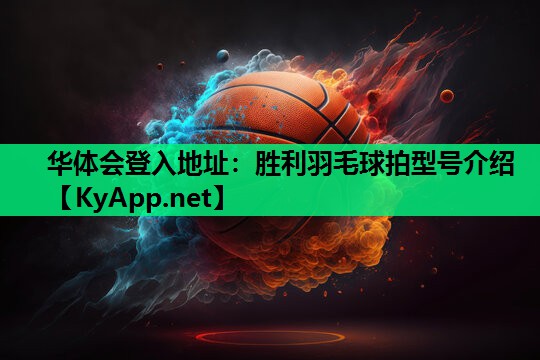 胜利羽毛球拍型号介绍 胜利羽毛球拍型号介绍